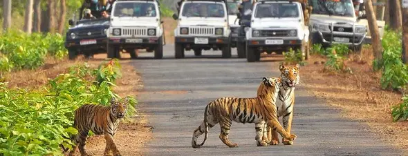 Jim Corbett National Park landscape